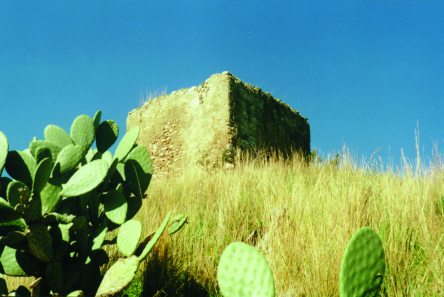 foto torre di nasari