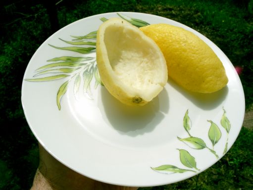 limoni senza la polpa