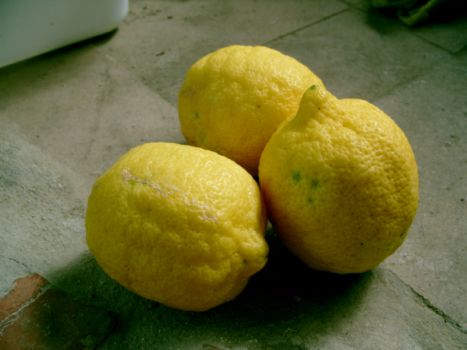foto di limoni
