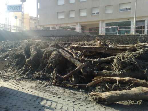 catasta di tronchi nel greto del Longano tra il ponte della Via Regina Margherita ed il ponte coperto
