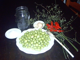 foto ritraente olive sale finocchietto peperoncini