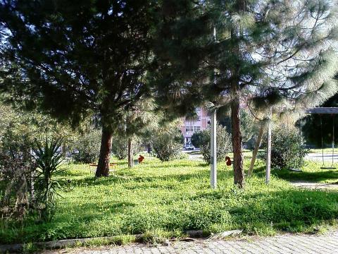 foto parco giochi